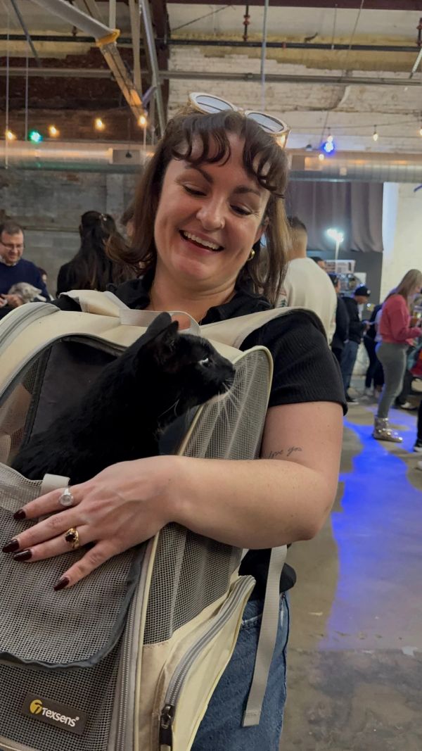 Houston Cat Expo at Garage HTX