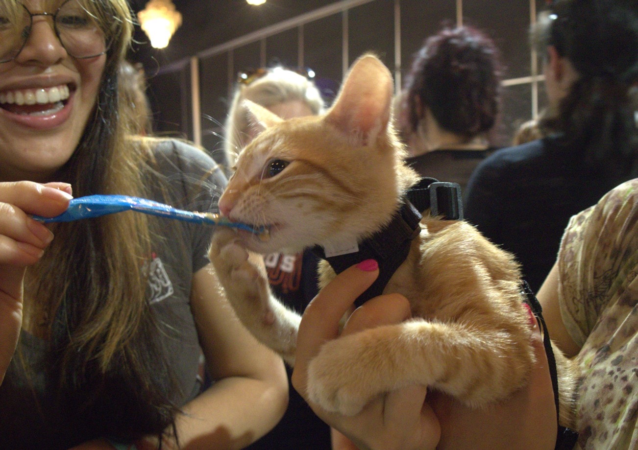 This little orange guy was NOT letting go of that wand toy
