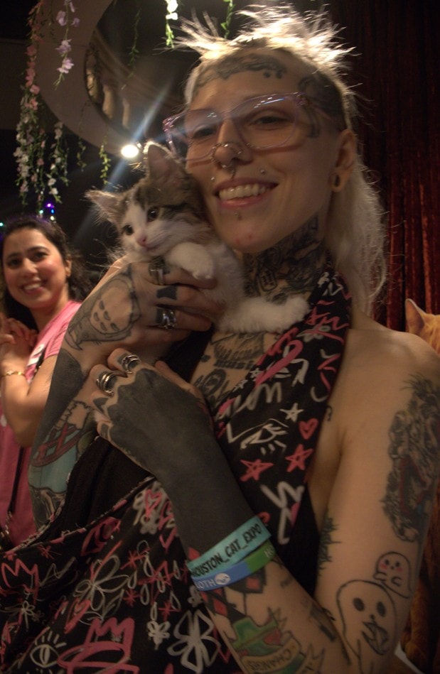 Houston Cat Expo wristband and a tiny kitten — a perfect combination