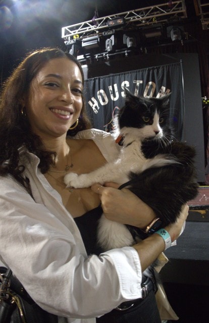 A tuxedo cat living their best life in front of the Houston stage